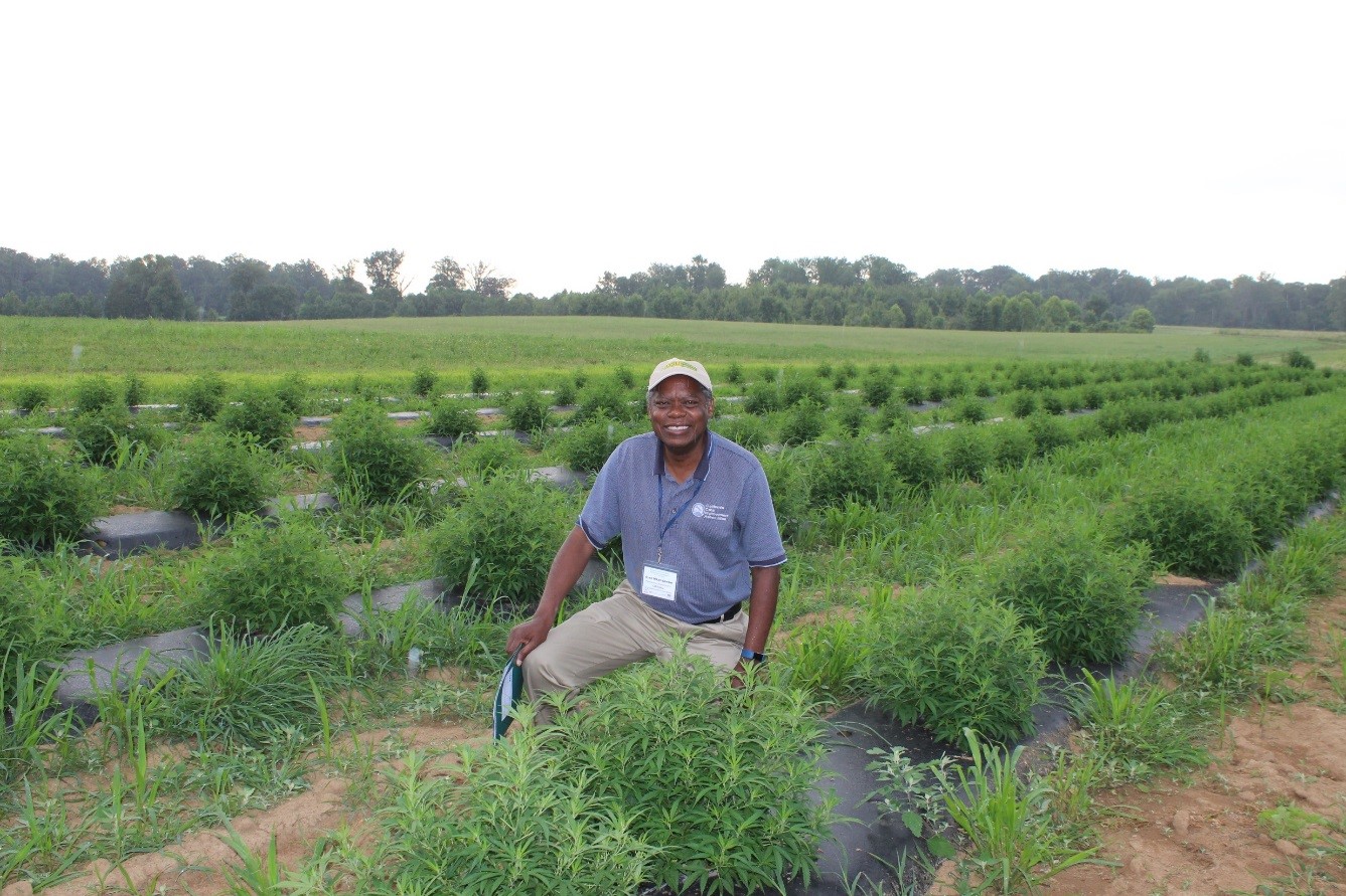 Alex in hemp field