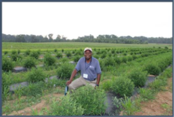 Alex in hemp field