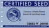 certified tag