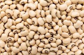 cowpea