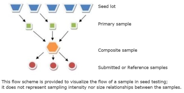 sampling diagram