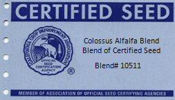 cert blend tag
