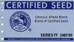 series blend tag