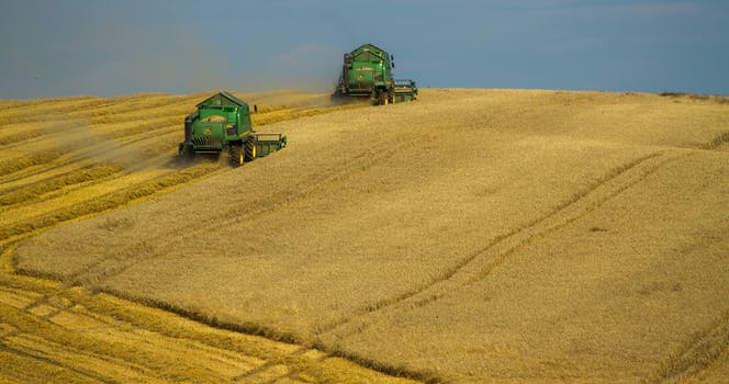 harvesters
