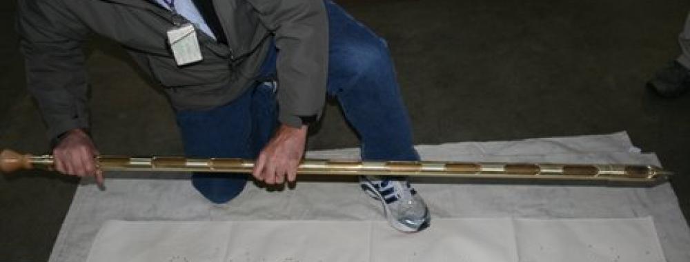 sampling seed