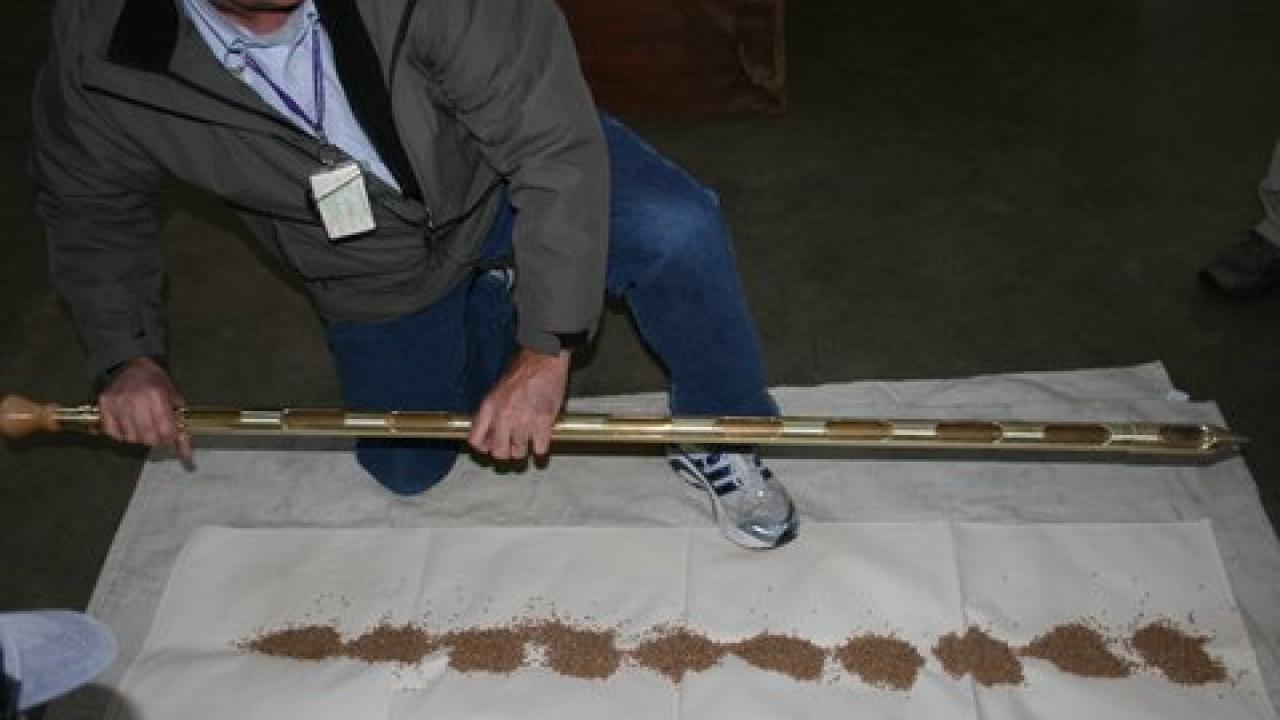 sampling seed