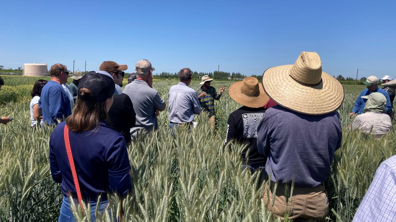 People standing in field