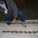 sampling seed